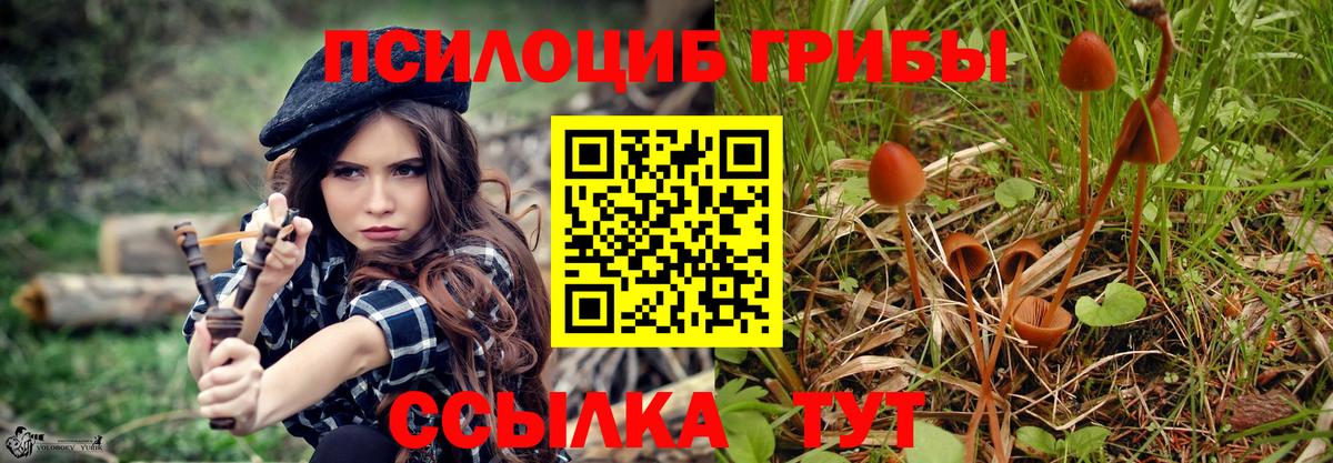 Кириши  Галлюциногенные грибы прущие грибы  Вход с VPN 